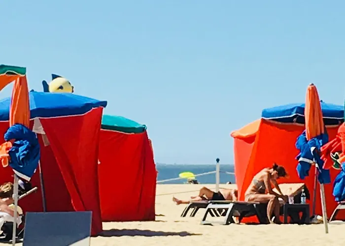 L'olliffe Joli Hypercentre A 2 Pas De La Place Morny Appartement