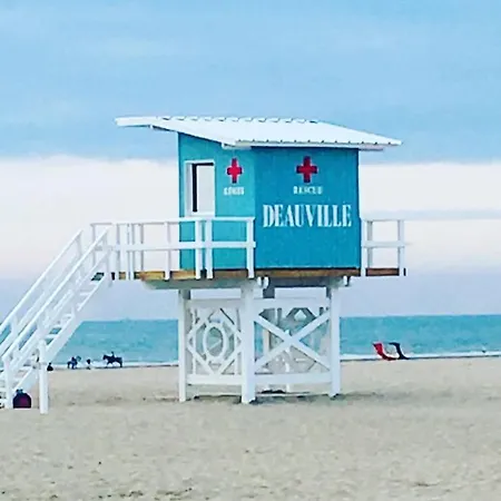 Apartmán L'olliffe Joli Hypercentre A 2 Pas De La Place Morny *